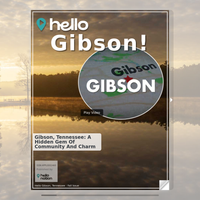 Image for Gibson