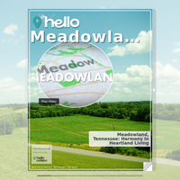 Image for Meadowland