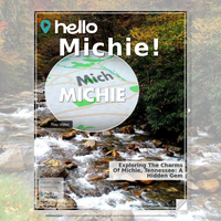 Image for Michie