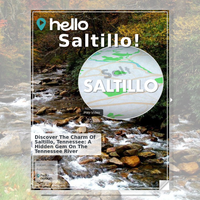 Image for Saltillo