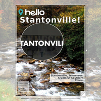 Image for Stantonville