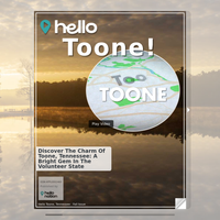 Image for Toone