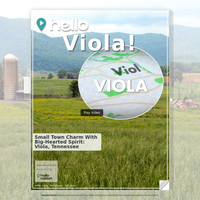 Image for Viola