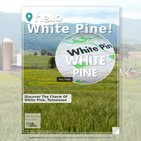 Image for White Pine