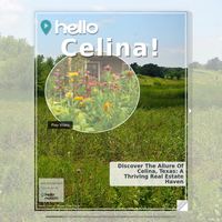 Image for Celina