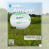 Image for Anson