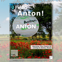 Image for Anton