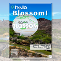 Image for Blossom