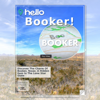 Image for Booker