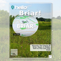 Image for Briar