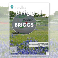 Image for Briggs