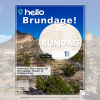 Image for Brundage