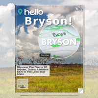 Image for Bryson