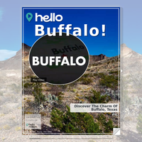 Image for Buffalo