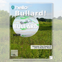 Image for Bullard