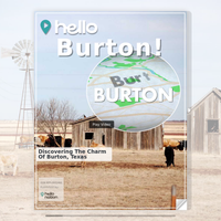 Image for Burton