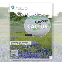 Image for Cactus