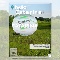 Image for Catarina