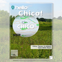 Image for Chico