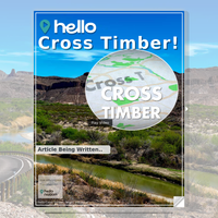 Image for Cross Timber