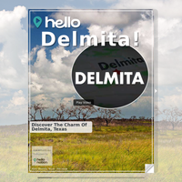 Image for Delmita