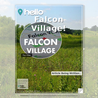 Image for Falcon Village