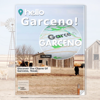 Image for Garceno