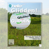 Image for Glidden