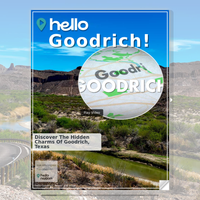 Image for Goodrich