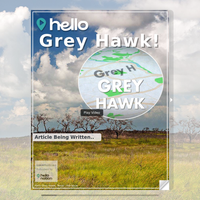 Image for Grey Hawk