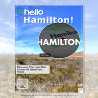 Image for Hamilton