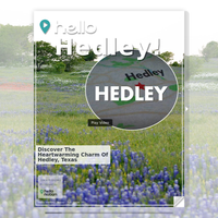 Image for Hedley