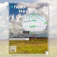 Image for Hedwig Village