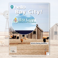 Image for Bay City