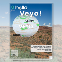 Image for Veyo