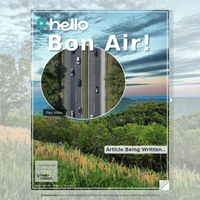 Image for Bon Air