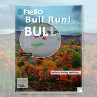 Image for Bull Run