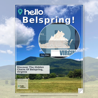 Image for Belspring