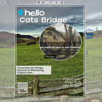 Image for Cats Bridge