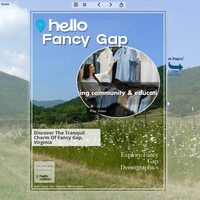 Image for Fancy Gap