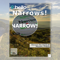 Image for Narrows