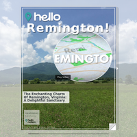 Image for Remington