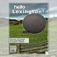 Image for Lexington