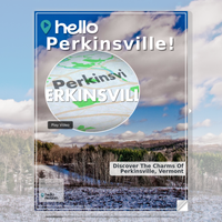 Image for Perkinsville