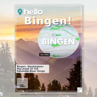 Image for Bingen