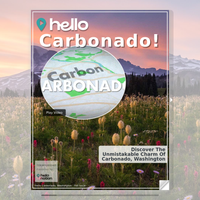 Image for Carbonado