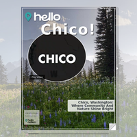 Image for Chico