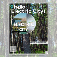 Image for Electric City