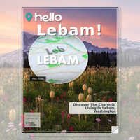 Image for Lebam