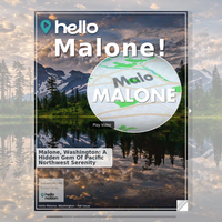 Image for Malone